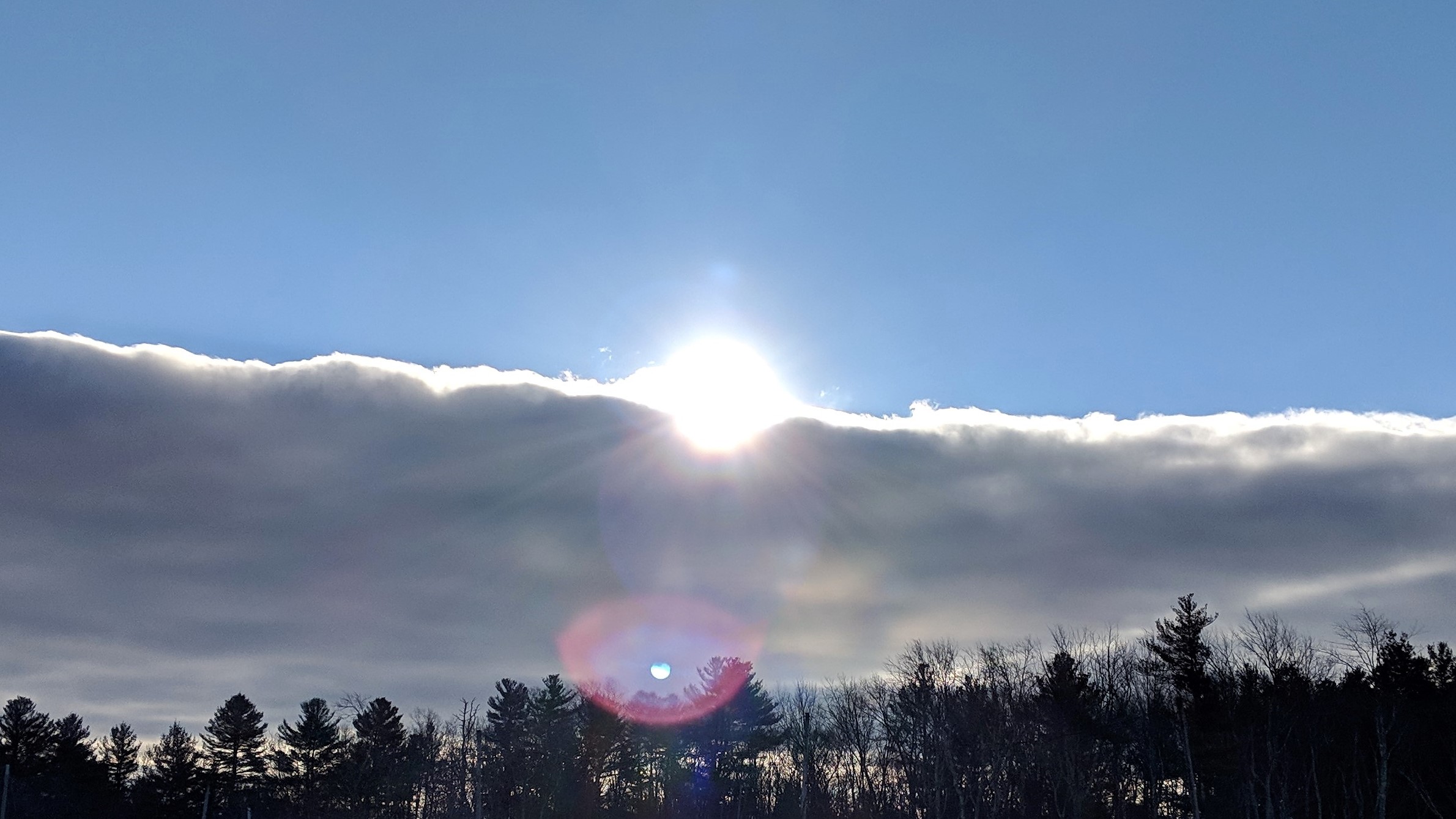 img_20190125_084511b